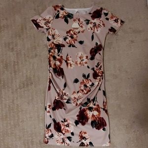 Pinkblush Maternity Dress
